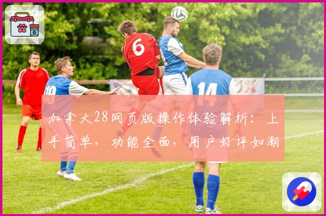 加拿大28网页版操作体验解析：上手简单，功能全面，用户好评如潮