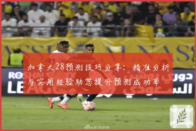 加拿大28预测技巧分享：精准分析与实用经验助您提升预测成功率