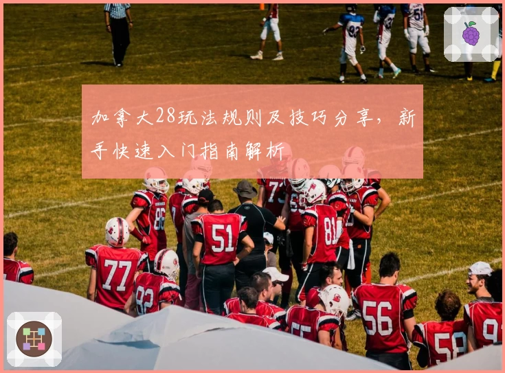 加拿大28玩法规则及技巧分享,新手快速入门指南解析