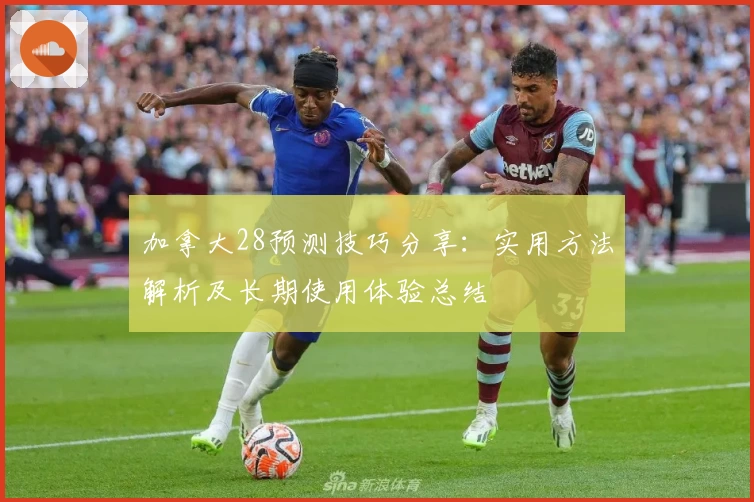 加拿大28预测技巧分享：实用方法解析及长期使用体验总结