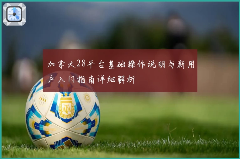 加拿大28平台基础操作说明与新用户入门指南详细解析