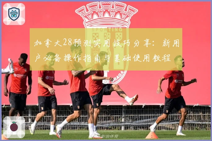 加拿大28预测实用技巧分享:新用户必备操作指南与基础使用教程