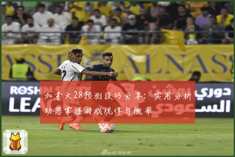 加拿大28预测技巧分享：实用分析助您掌握游戏规律与概率