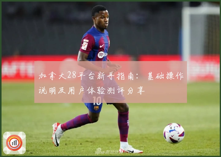 加拿大28平台新手指南：基础操作说明及用户体验测评分享