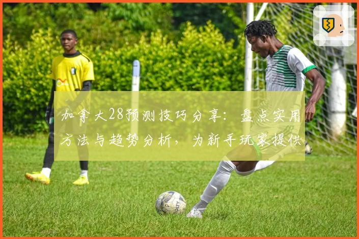 加拿大28预测技巧分享：盘点实用方法与趋势分析，为新手玩家提供全面指南