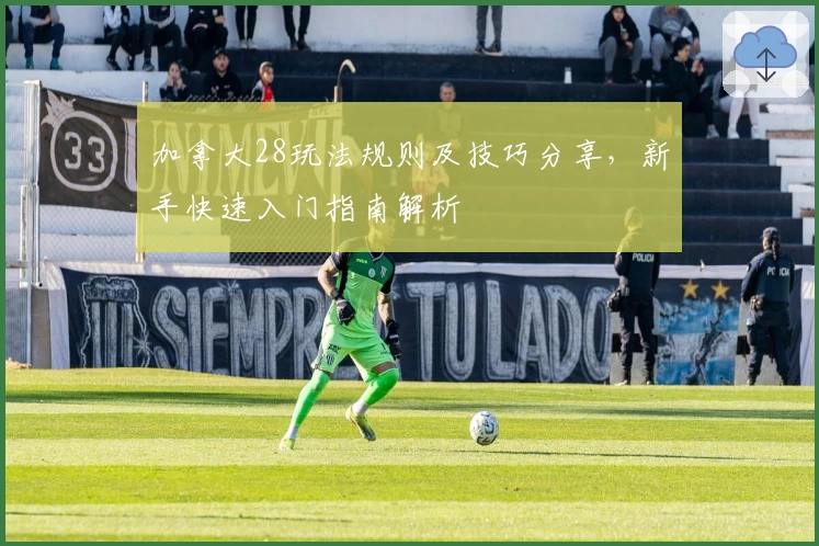 加拿大28玩法规则及技巧分享，新手快速入门指南解析