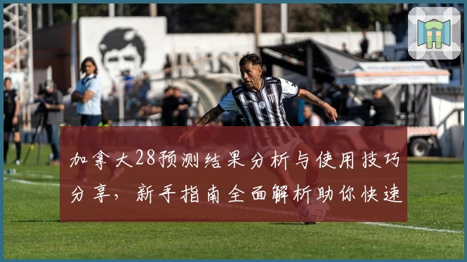 加拿大28预测结果分析与使用技巧分享，新手指南全面解析助你快速上手